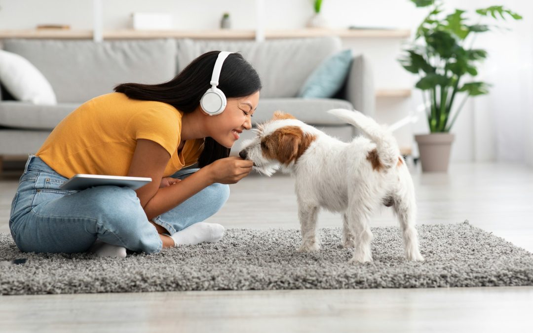 Creating a Pet-Friendly Home Interior: A Step-by-Step Guide to Harmonious Living