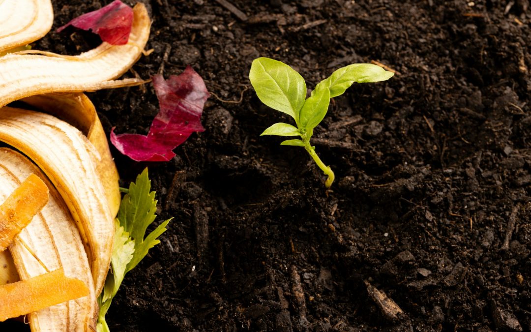 The Art of Composting: Different Methods for a Thriving Garden